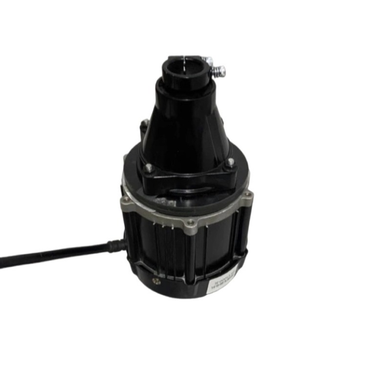 Motor Fuera de Borda Sin Escob - Fishing Kayak Sit On Top reseña y precio